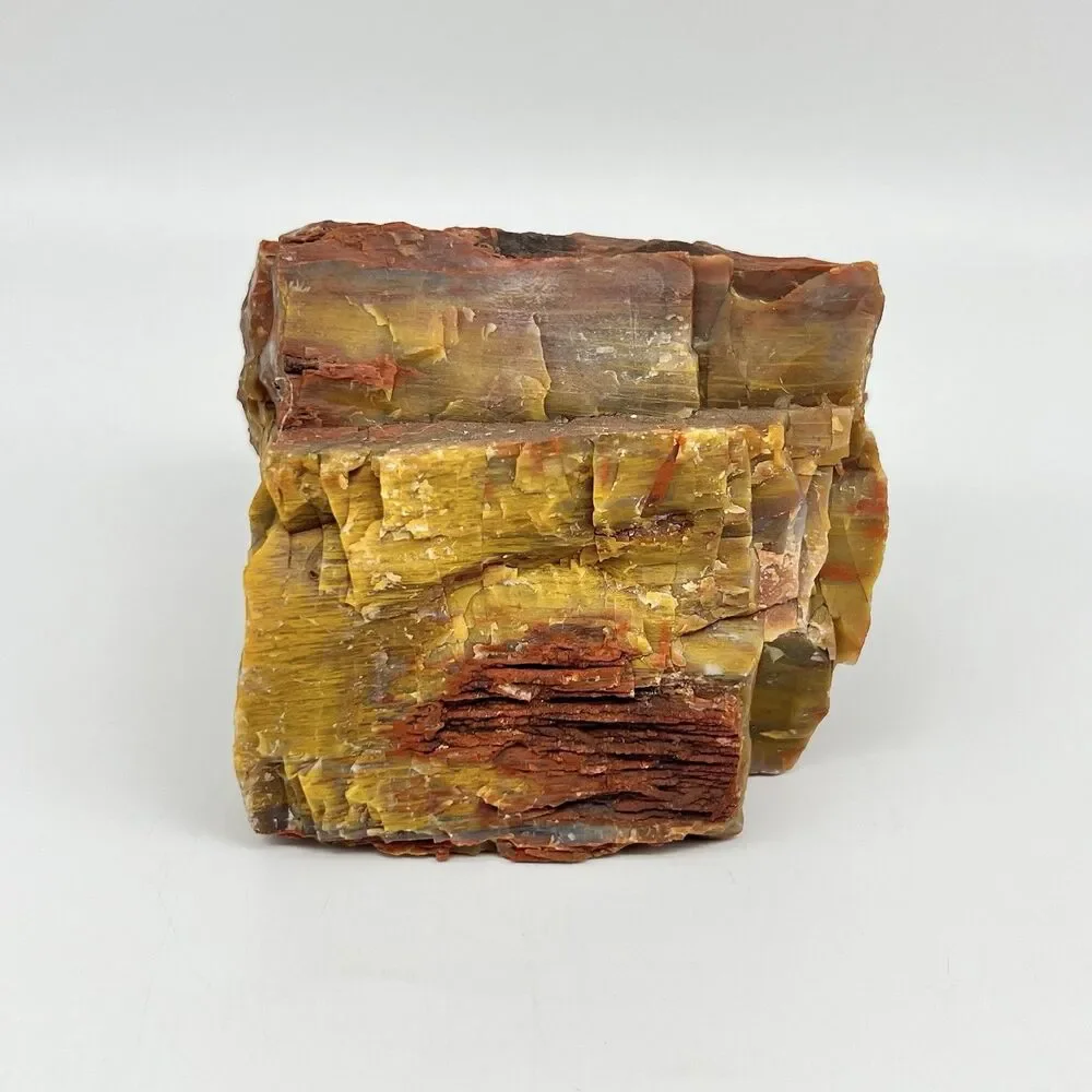Arizona Rainbow Petrified Wood Specimen Agatized Fossil Rock 1.7lb Red Brown VTG